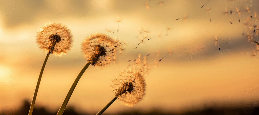 The next challenge in employment? Building a more trustworthy ecosystem